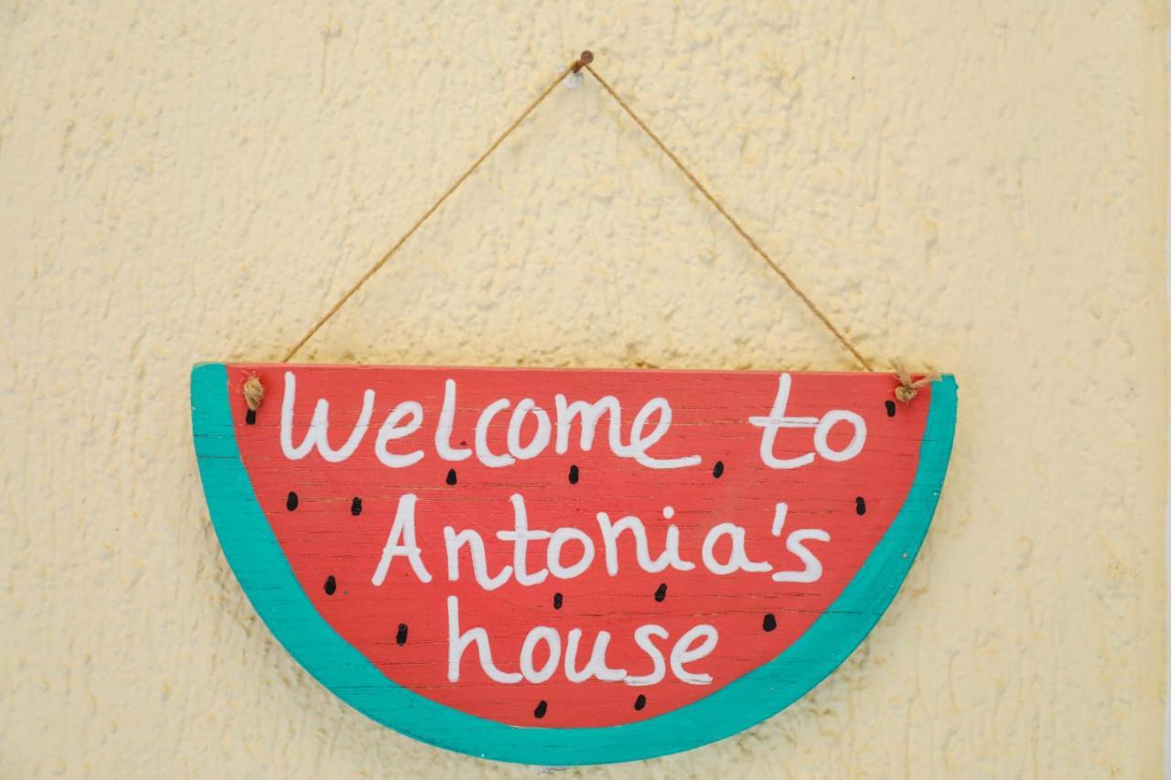 Antonia House Apartment Skiathos Town Exterior photo